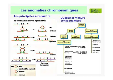 Les Anomalies Chromosomiques