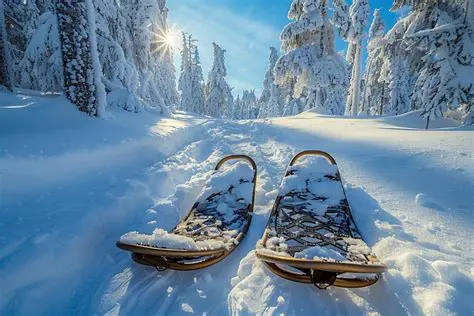 Les Avantages des Raquettes sur la Neige
