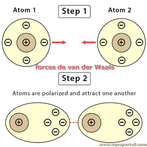 Les forces de van der Waals