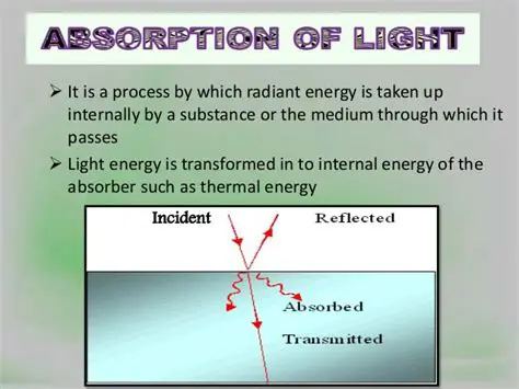 Light Scattering and Absorption