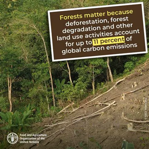 Limited funds allocated for conservation