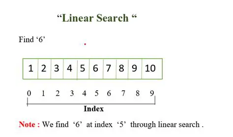 Linear Search Algorithm Example