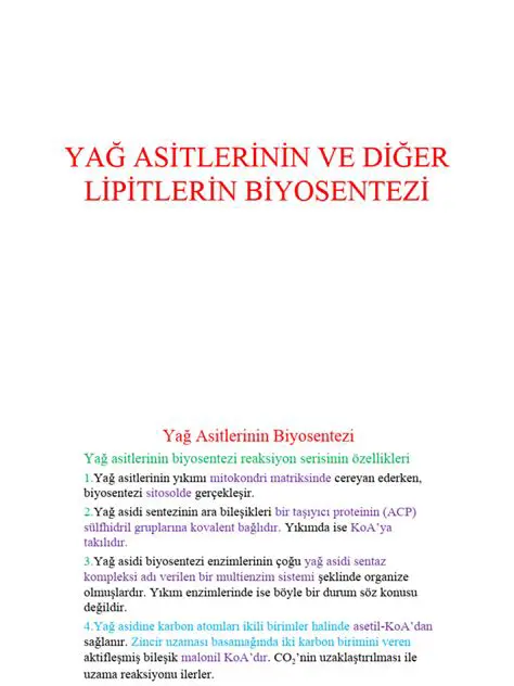 Lipitlerin Biyolojik Aktif Maddeler