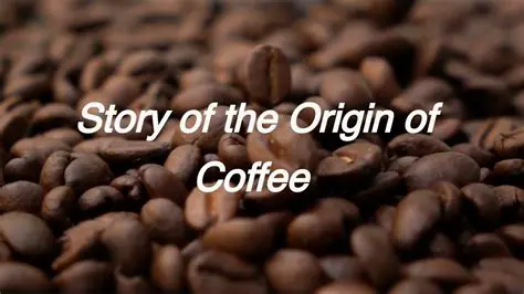 LMZH Lima: The Coffee Story Unveiled - A Journey Through Indonesian Coffee Heritage