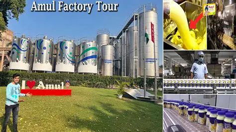 Location and Factory Details