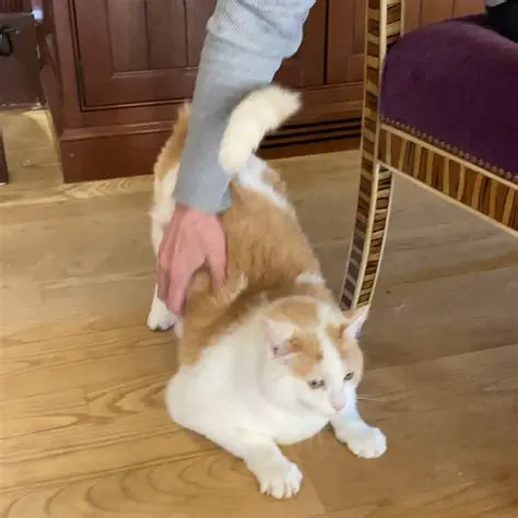 Location where TomTom was turned off