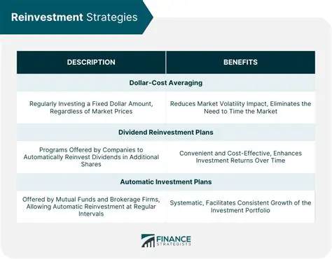 Look for dividend reinvestment plans