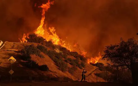 Los Angeles Wildfire Crisis: Updates, Impacts, and Prevention Efforts