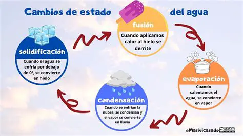 Los Cambios de Estado en el Ciclo del Agua