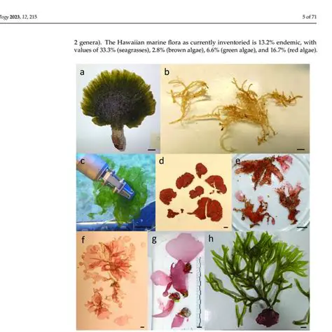 Macroalga Diversity Analysis and Environmental Factors
