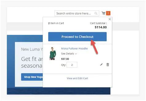 Magento 2 Checkout Process