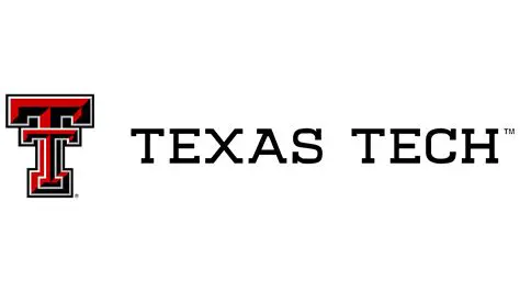 Main Features of the Texas Tech University Browser Theme