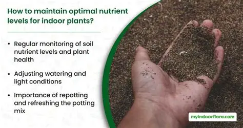 Maintain optimal nutrient levels