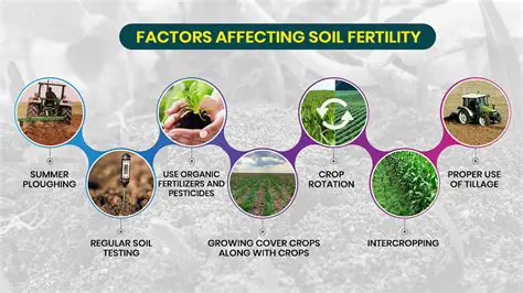Maintain the fertility of soils