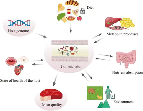 Maintaining a Healthy Gut Microbiome