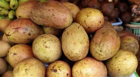 Manfaat Bacaan dalam Menjelajahi Dunia