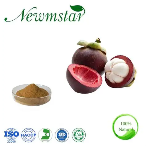 Mangosteen peel extract as a natural antimicrobial agent