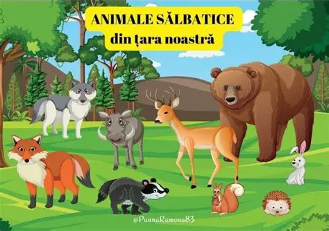 Manual pentru animalele din imagini