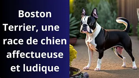 Le Martin Terrier : Un Chien de Travail Polyvalent et Affectueux
