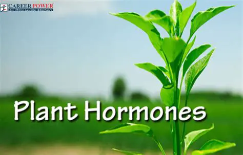 Match the Plant Hormone to its Purpose