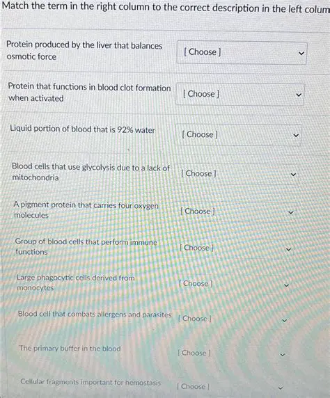Matching the Terms to Their Descriptions
