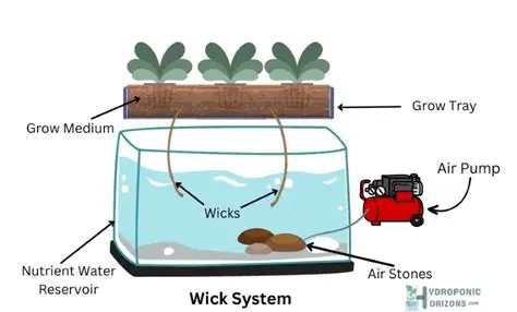 Maximizing the Growth of Sawi Samhong with Tofu Waste POC in the Wick Hydroponic System