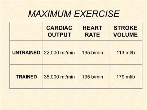 Maximum Exercise Cardiac Output