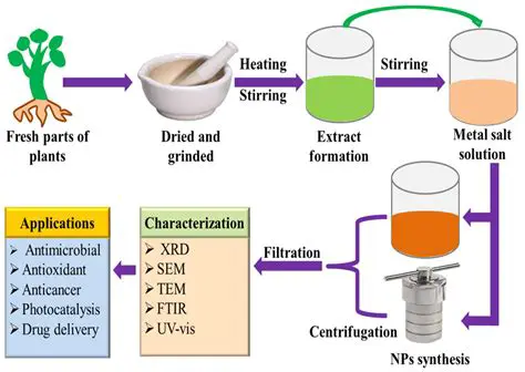 Mechanism of Onion Extract Action