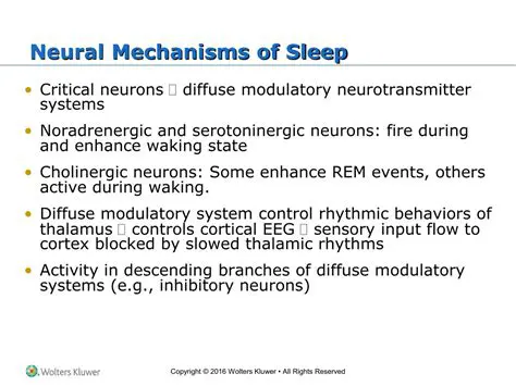 Mechanisms of Sleep Stroke