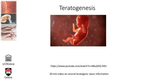 Medicines and Teratogenesis
