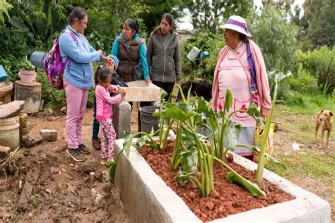 Mejorar la calidad de vida de la comunidad