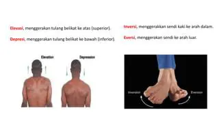 Menggerakkan kaki sambil pegangan pundak