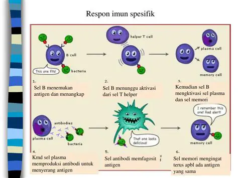 Menggunakan contoh atau kasus spesifik