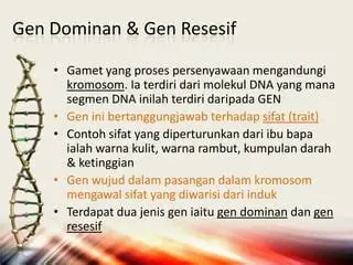 Mengidentifikasi Gen Dominan dan Resesif