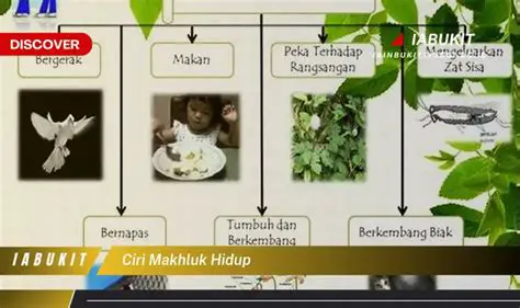 Mengklasifikasikan organisme hidup