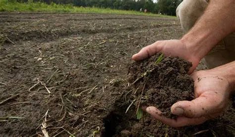 Meningkatkan Kesuburan Tanah