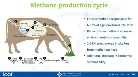 Methane Gas Factory Advantages