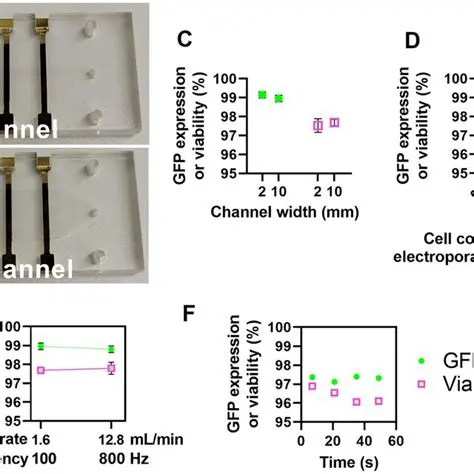 Methods for Increasing Cell Dimensions