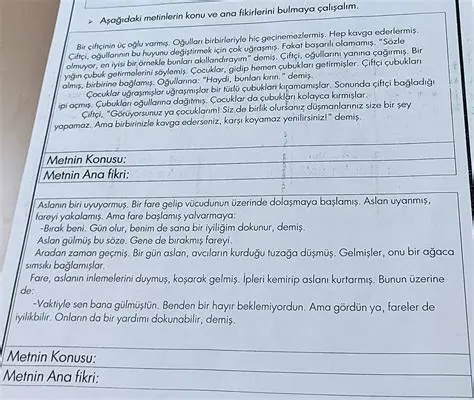 Metinlerin Ana Fikirlerini Vurgulama