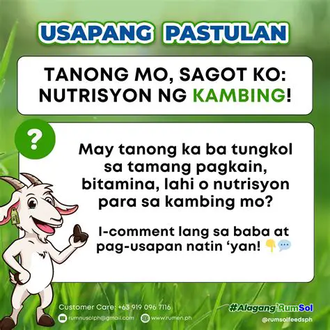 Mga Katanungan at Sagot Tungkol sa Akrostik ng Tagapagturo