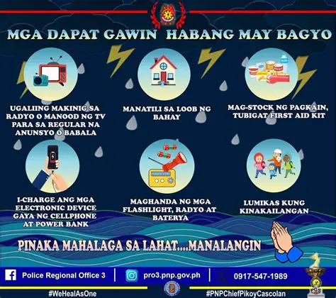 Mga mensahe o impormasyon na nakapost sa online platform