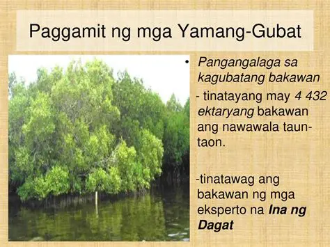 Mga Sambit ng mga Eksperto