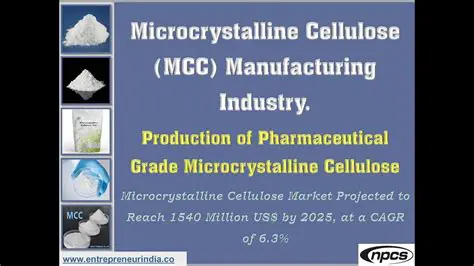 Microcrystal Cellulose Manufacturing Process