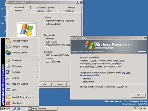 Microsoft Windows 2003 Server