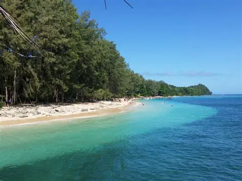 Mierla va doini multe doine