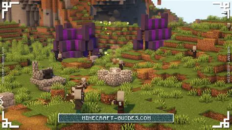 Minecraft Version and Mod Information