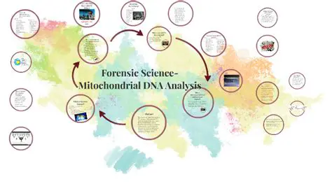Mitochondrial DNA in Forensic Science