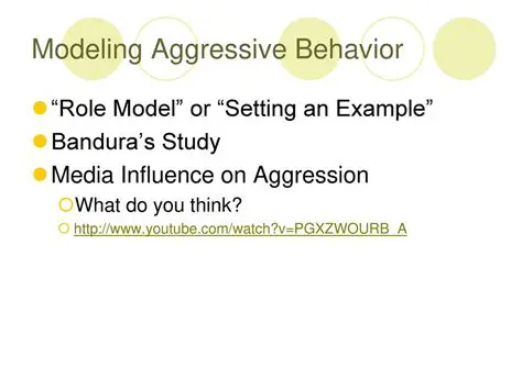 Modeling aggressive behavior