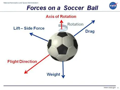 Modeling the Flight of the Soccer Ball