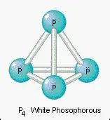 Molecular Structure of White Phosphorus